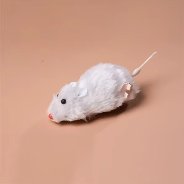 Interactive pet supplies: an electric mouse toy for feline hunting instincts.