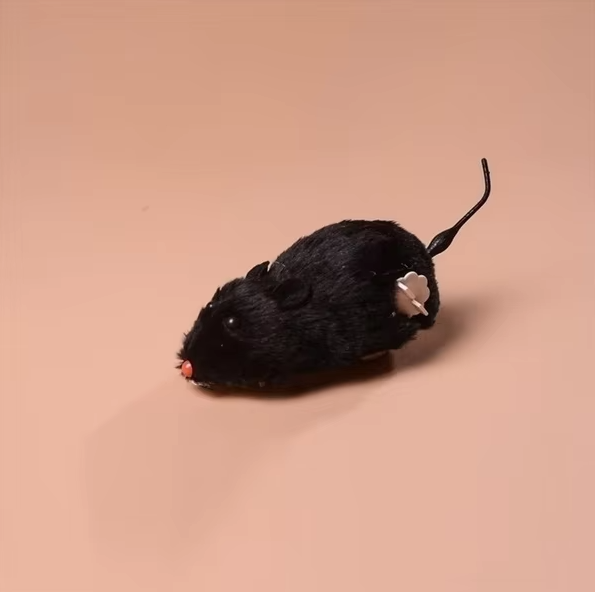 Keep your indoor cat active with this fun, battery-powered mouse toy.
