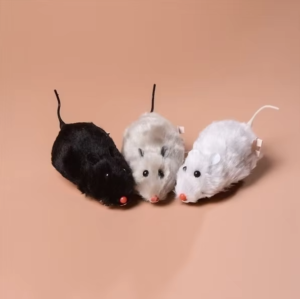 Best electric cat play mouse toy for stimulating your cat's natural instincts.