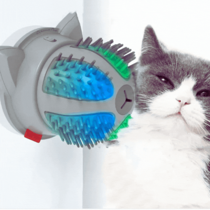 Dual-power electric self-massage brush for cats. Encourages independent grooming & comfort with catnip.