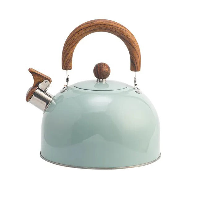 Elegant stainless steel whistling kettle with insulated handle for stovetop & induction. Perfect for tea & coffee.