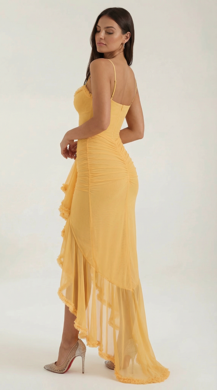 Sophisticated high-low ruffle maxi dress, an elegant evening or occasion wear choice for women.