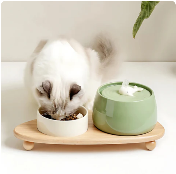 Elevated ceramic pet feeding station with stylish wood stand for comfortable eating.