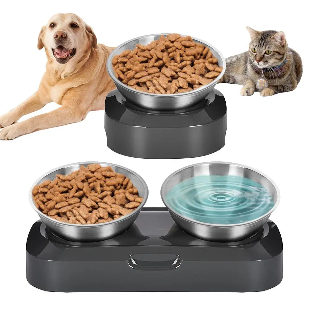 Elevated double cat bowl with stainless steel dishes, ergonomic design for comfortable pet feeding & drinking.