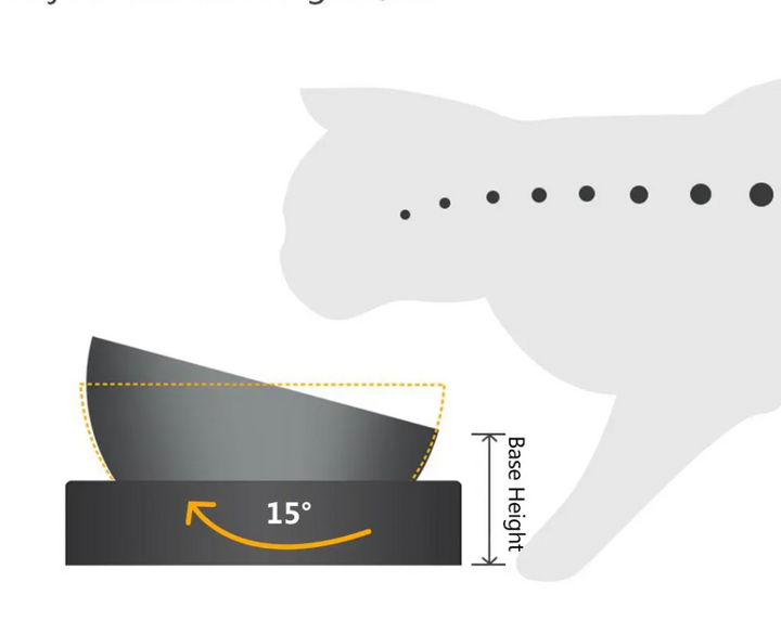 Ergonomic pet feeder: elevated double cat bowl with hygienic stainless steel inserts for easy cleaning.