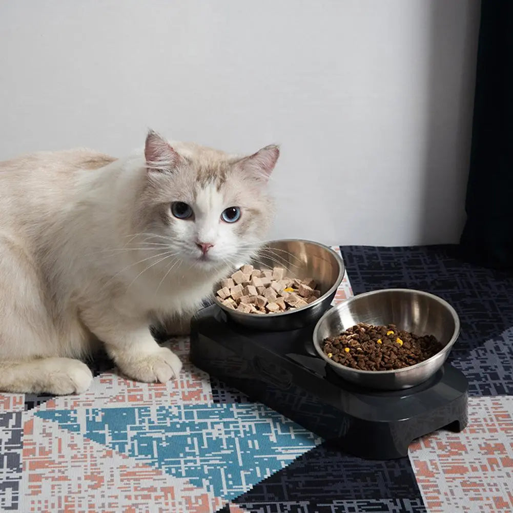Hygienic elevated cat feeder featuring two stainless steel bowls, perfect for food & water.