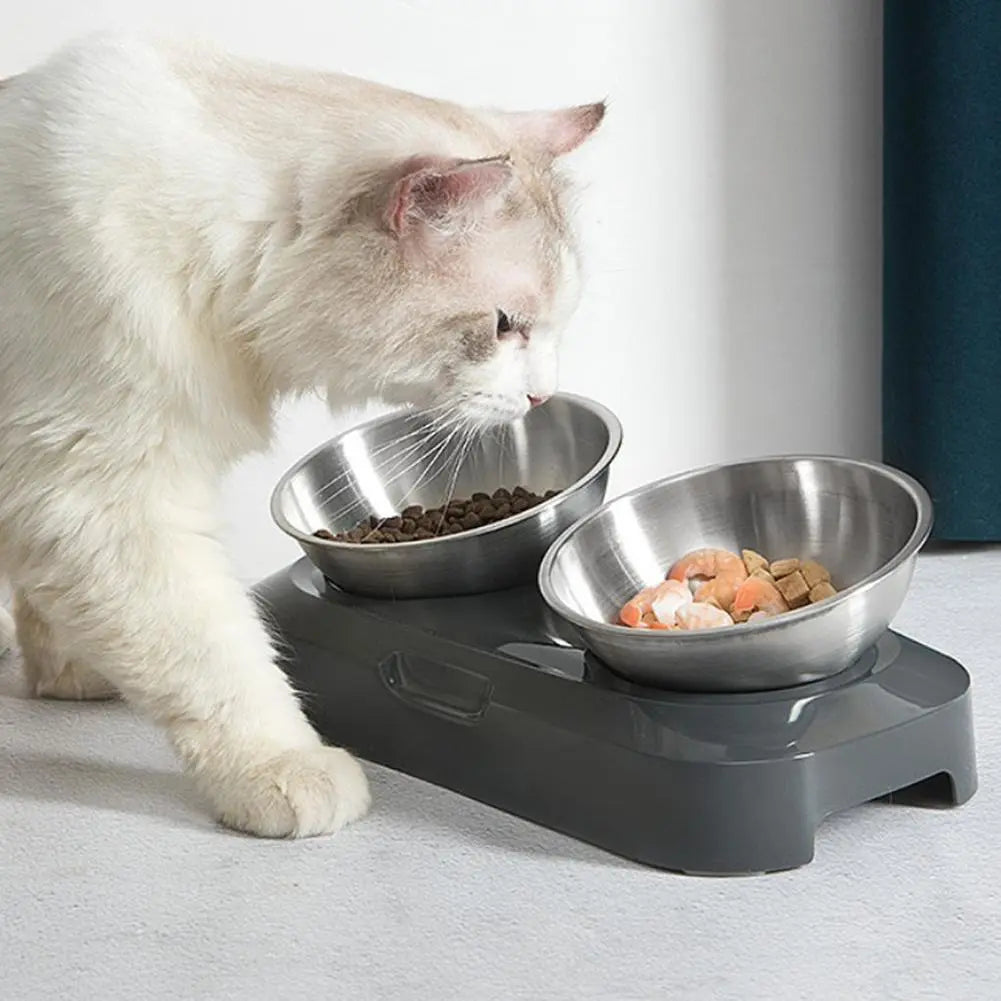 Modern elevated pet bowl with easy-clean stainless steel inserts, ideal for cats & small pets.