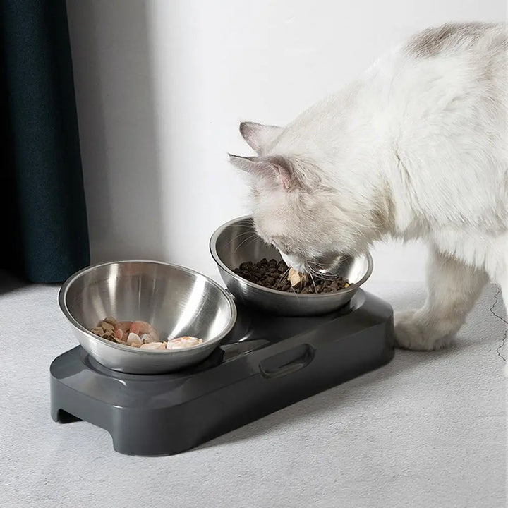 No-slip elevated double cat food and water bowl. Durable stainless steel design for pet comfort.