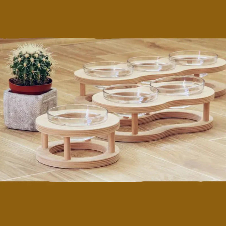 Pet eating from an ergonomic elevated wood and glass feeding bowl set; non-slip base ensures stability.