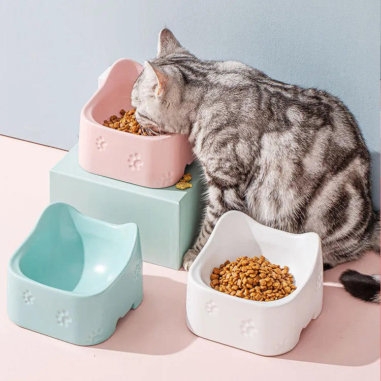 Ergonomic raised cat feeding bowl with non-slip base for healthy eating. Modern design, easy to clean pet supply.