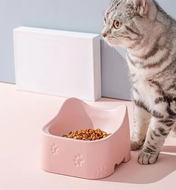 Pink non-slip raised cat food & water bowl. Ergonomic design supports neck health, easy-clean pet accessory.