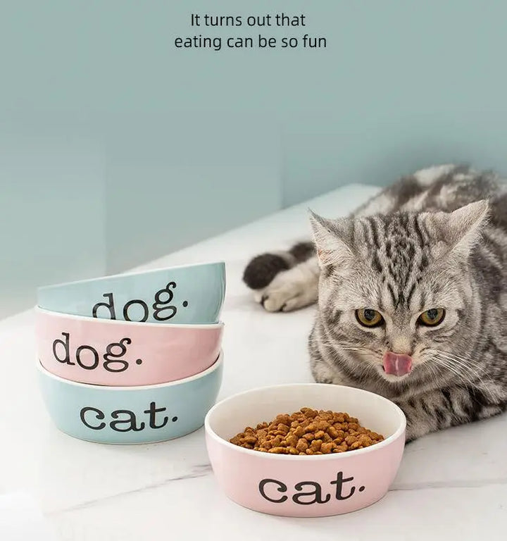 Raised ergonomic pet bowl for cats with non-slip base. Improves digestion & reduces neck strain. Durable & modern.