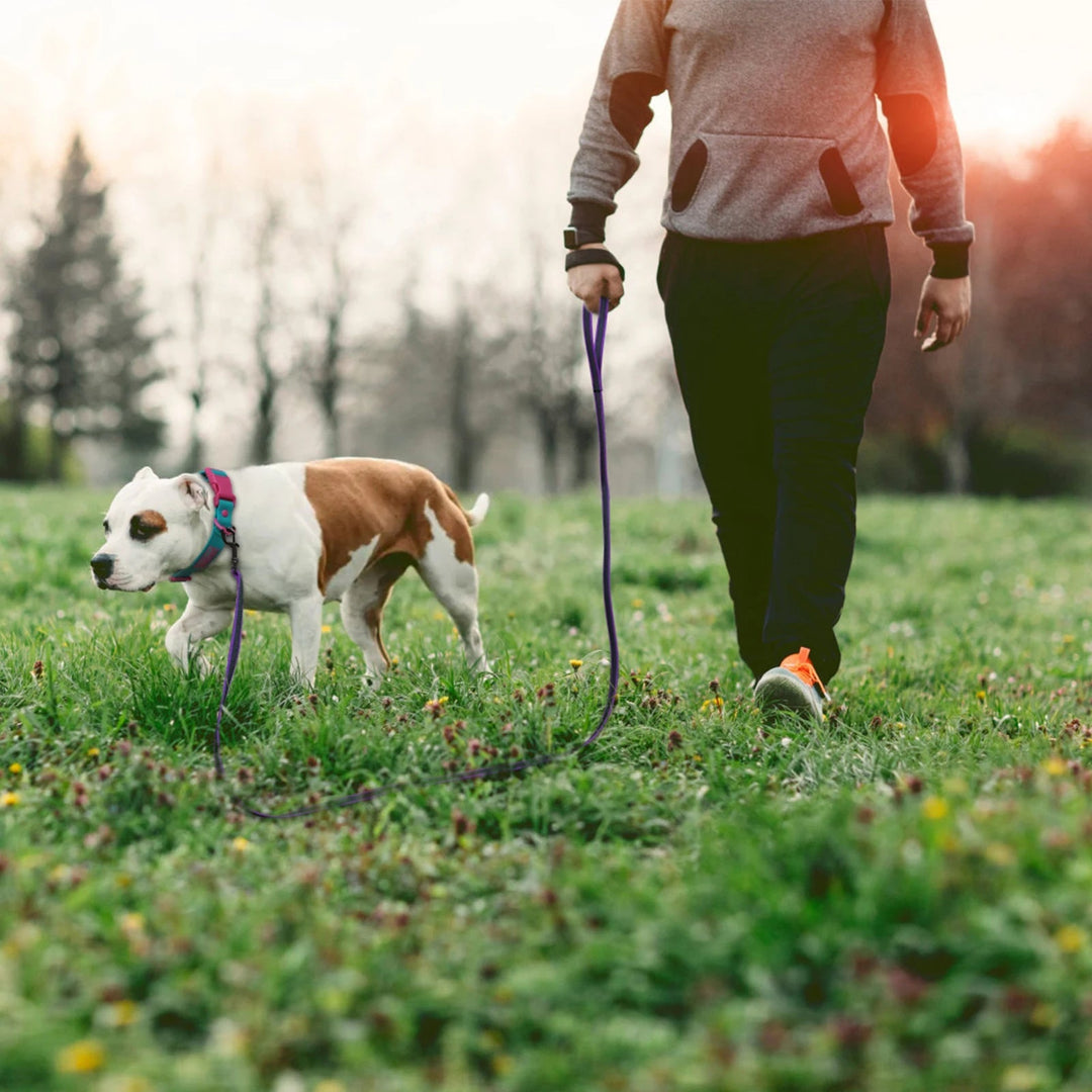 All-weather long dog lead, waterproof and durable, perfect for year-round outdoor dog gear.