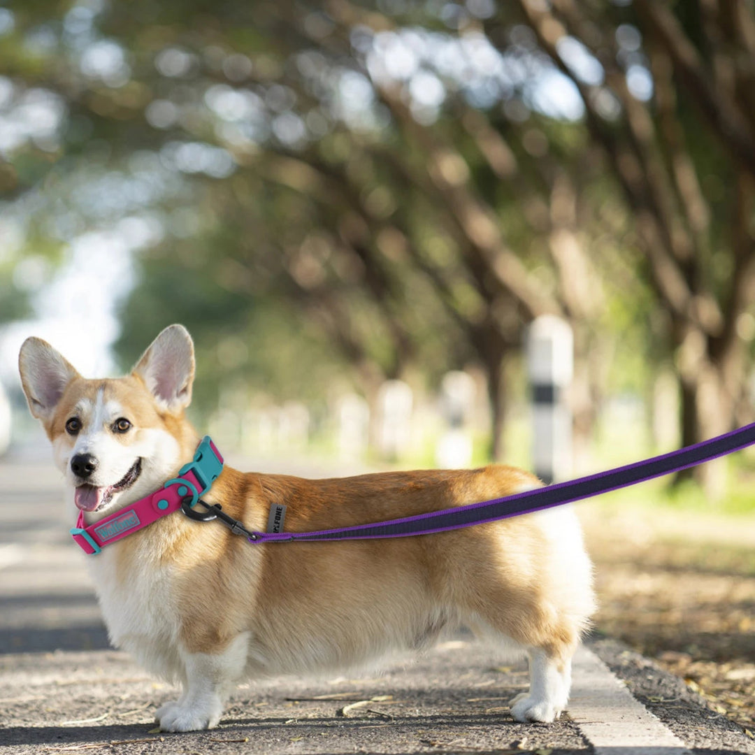 Versatile extra long waterproof dog lead, suitable for all types of dog training & play.