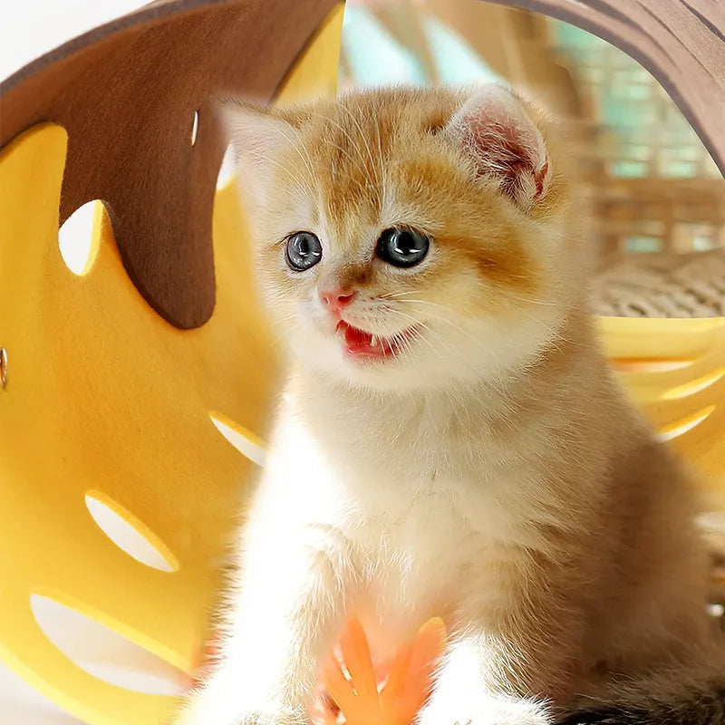 Feline Fun Play Tunnel with holes, an interactive felt cat toy for active cats & pet play.