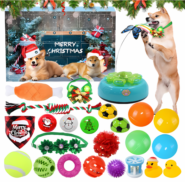 A happy dog or cat reaching for a treat from a 24-day festive pet advent calendar.