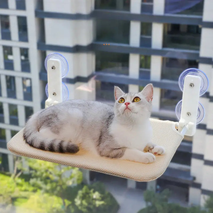 A happy cat relaxing on a foldable window hammock, enjoying the sun. Ideal as a sturdy pet bed & window perch.