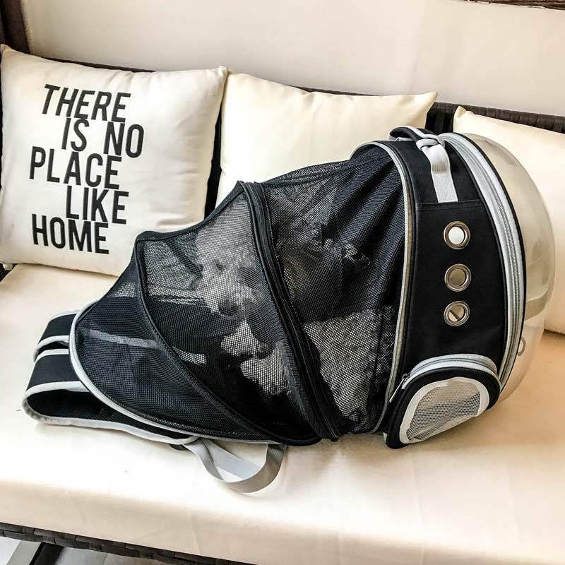 Portable dog backpack, breathable mesh and clear panel for sightseeing pets.