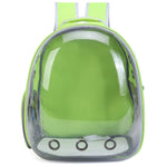 Neon Green