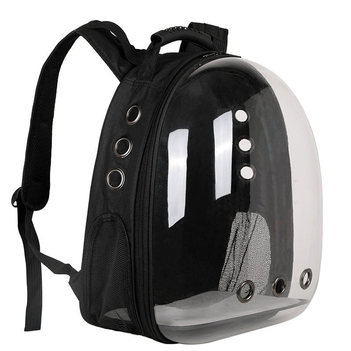 Breathable pet travel bag, foldable design for convenient storage & transport.