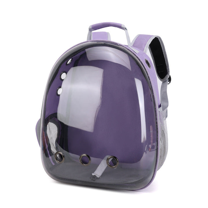 Clear view cat carrier backpack, secure and ventilated for safe pet outings.