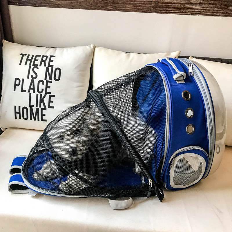 Foldable dog carrier backpack, easy to carry, with clear front & ventilation.