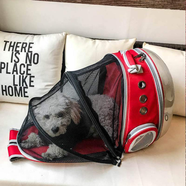 Pet travel backpack, clear view, optimal ventilation, perfect for urban explorers.