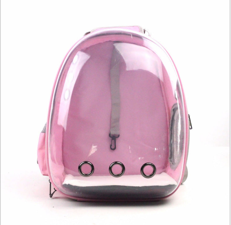 Clear view pet carrier, foldable for compact storage, excellent air circulation.