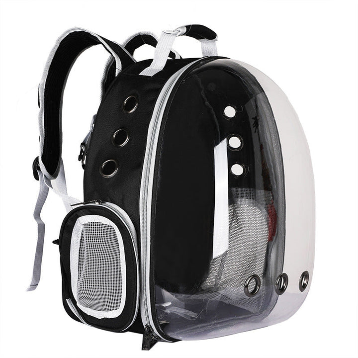 Foldable cat travel backpack with transparent window for outdoor exploration.