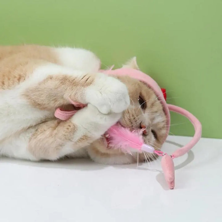 Cat accessory: a humorous costume hat with an attached feather toy to entertain your feline.