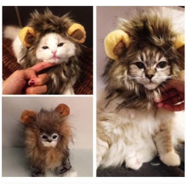 Adorable cat's lion mane wig with pointed ears, a fun pet accessory for feline fashion & animal costumes.