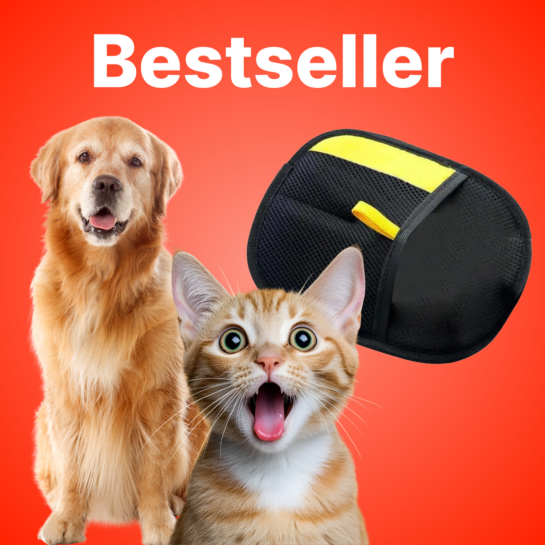 FurCatch reusable pet hair removal glove for effective dog and cat grooming.