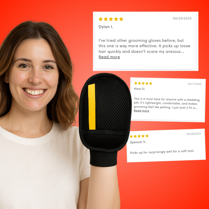 Eco-friendly cleaning: Use the FurCatch reusable glove to remove pet hair from furniture.