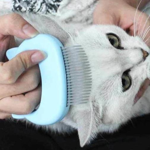 Gentle cat massage and grooming brush for effective shedding and a healthy feline coat.