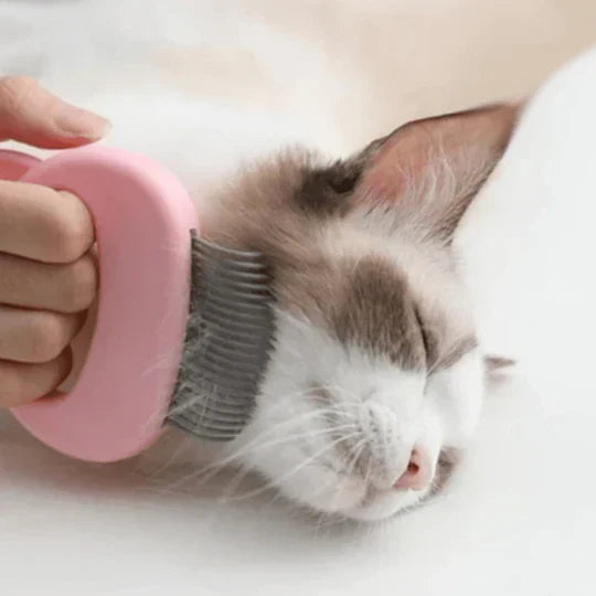 Feline care shedding tool: innovative cat brush for easy hair removal & comforting massage.