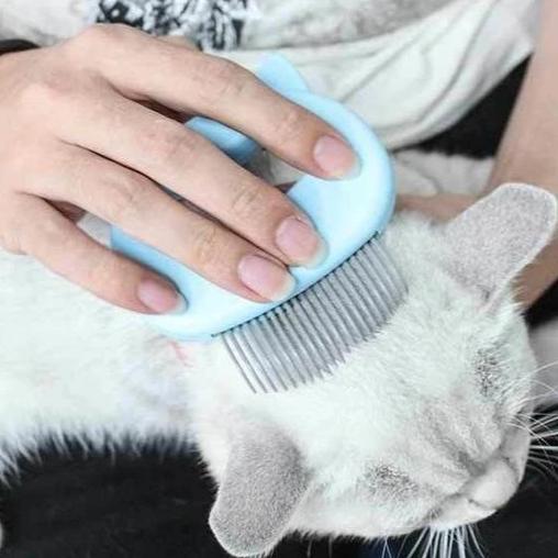 Cat grooming brush with soft bristles for gentle massage, reducing shedding, and enhancing coat health.