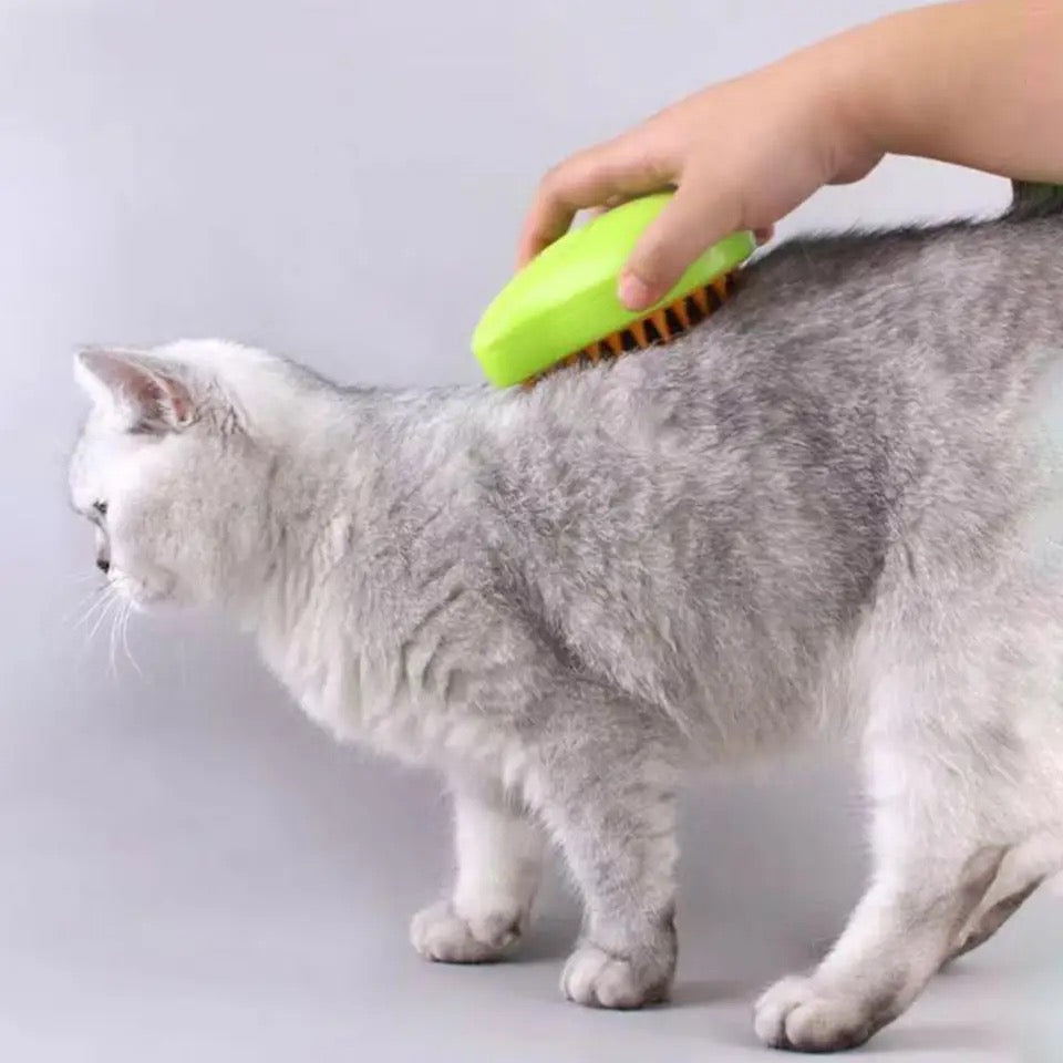 Essential pet grooming tool: a steam brush for detangling and deshedding dogs and cats