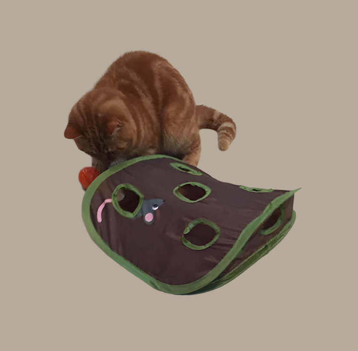Cat toy: Green interactive cat tent & play cave, ideal for pet fun with hanging mice & balls.