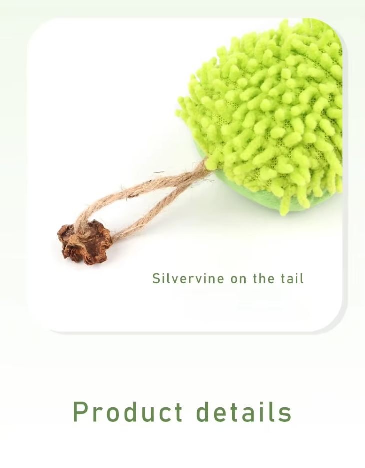 Catnip plush caterpillar cat toy. Soft green interactive feline accessory for playful pets and kittens.