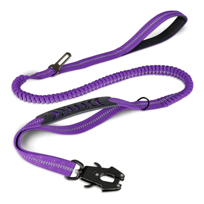 Sturdy and secure: Heavy-duty dog leash with bungee for optimal control
