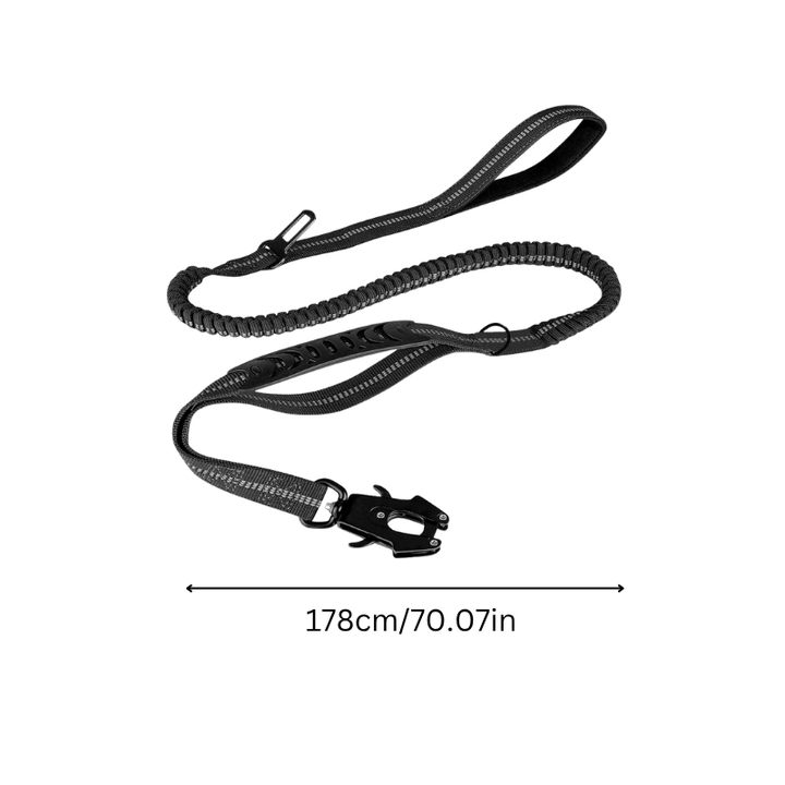 Durable nylon dog leash featuring a shock-absorbing bungee for reduced pulling strain