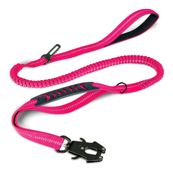 Large dog leash with a reliable control system and bungee for active pets