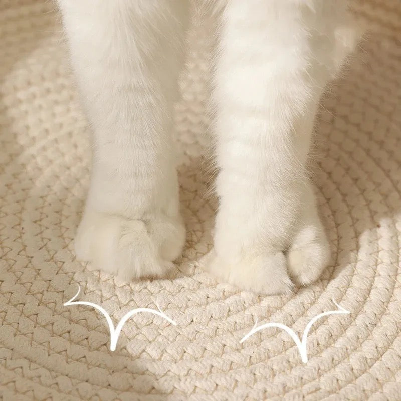 Circular cotton rope cat bed providing a cozy spot for cats to relax and play.
