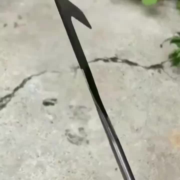 Versatile handheld landscaping tool: stainless steel weed remover for clean paths, cracks & edges in gardens.