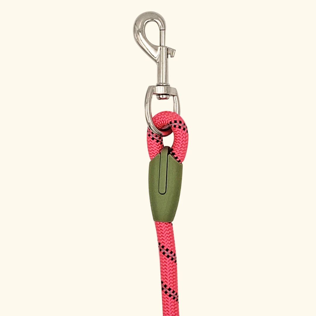 Convenient hands-free reflective dog leash for running & walking, essential outdoor pet gear.