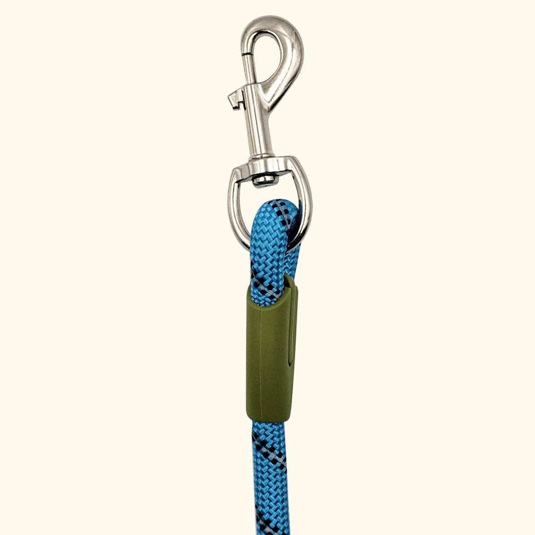 Stylish reflective hands-free dog leash, essential pet supply for running with large dogs.