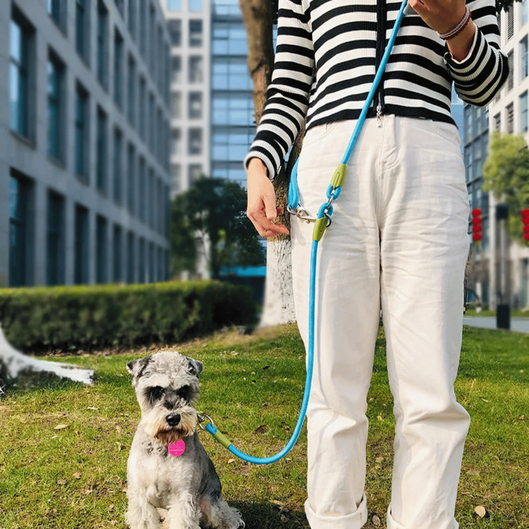 Reflective hands-free leash for hiking, running, and walking with your large active dog.