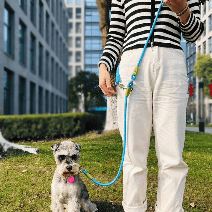 Reflective hands-free leash for hiking, running, and walking with your large active dog.
