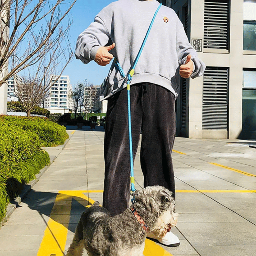 Unisex reflective hands-free dog leash, perfect for running, walking, & active large pets.