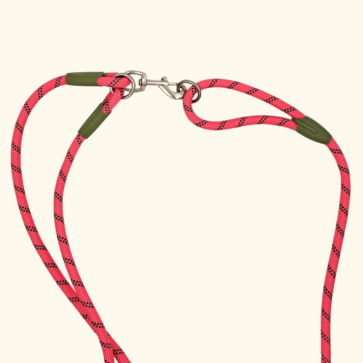 Essential outdoor dog gear: Reflective hands-free leash for running and walking large dogs.